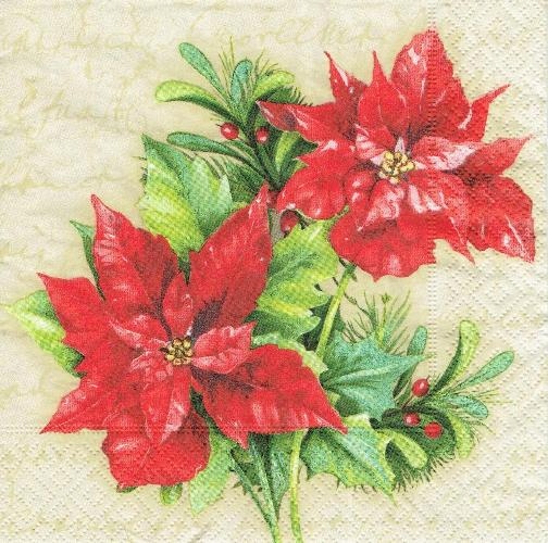Serwetka decoupage 110A Kwiaty Gwiazda betlejemska
