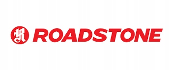 1x ROADSTONE WINGUARD SPORT 235/50R18 101 V Sezon zimowe