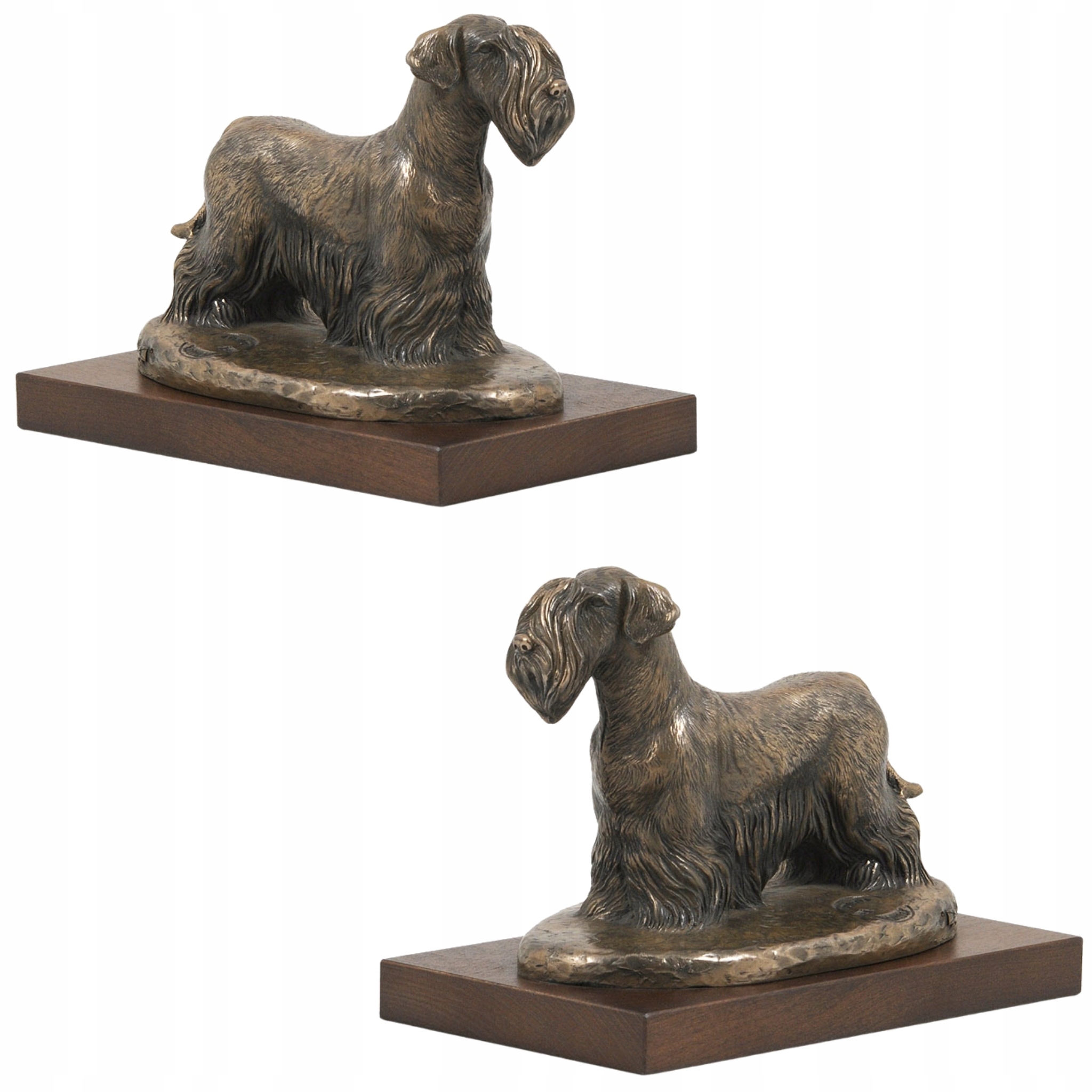 Terier czeski, Cesky Terrier statuetka psa, figurka do biura, trofeum na