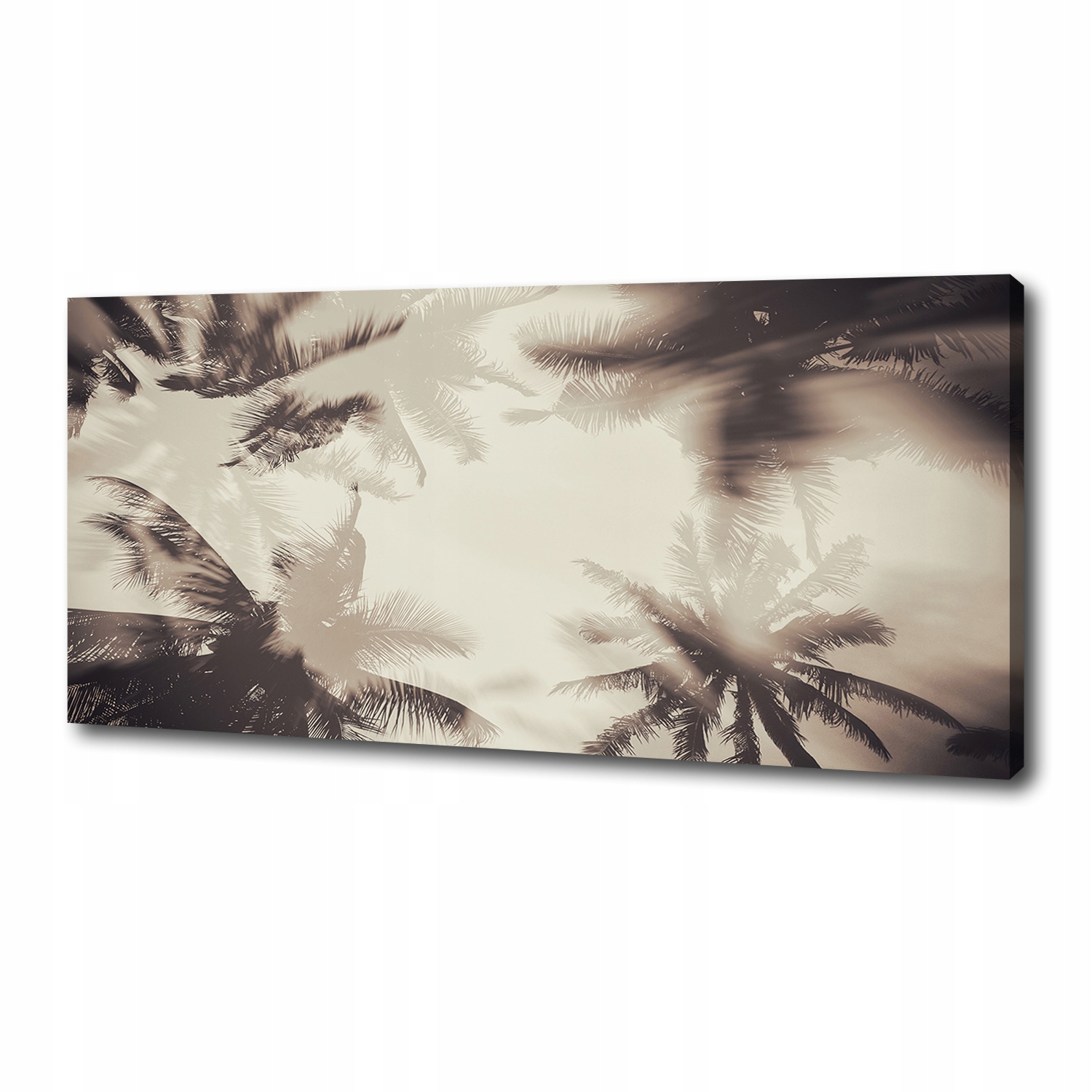 

Foto obraz ze zdjęcia do salonu Palmy 125x50 cm