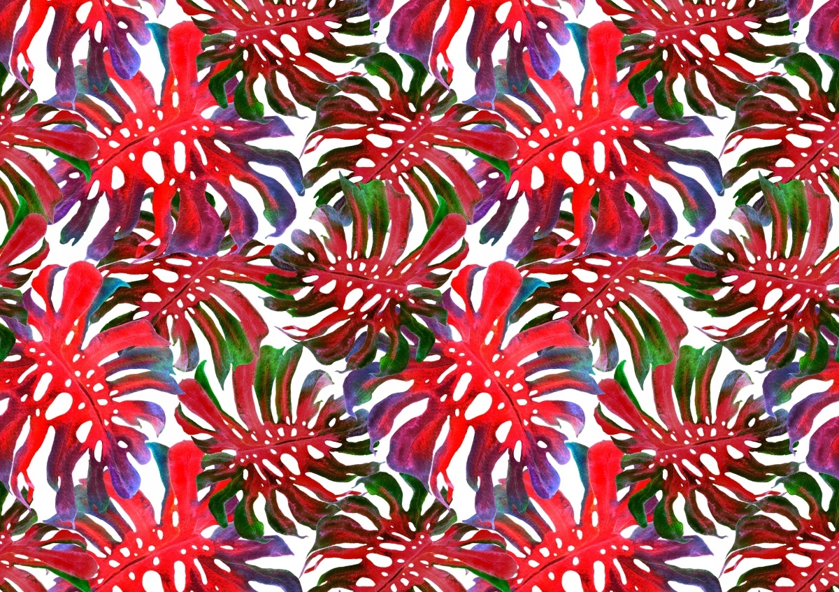 

Fototapeta Flizelina Egzotyczne liście 312x219
