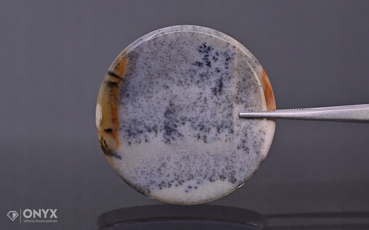 Dendritový achát z Kazachstánu konvexní mělký kruh