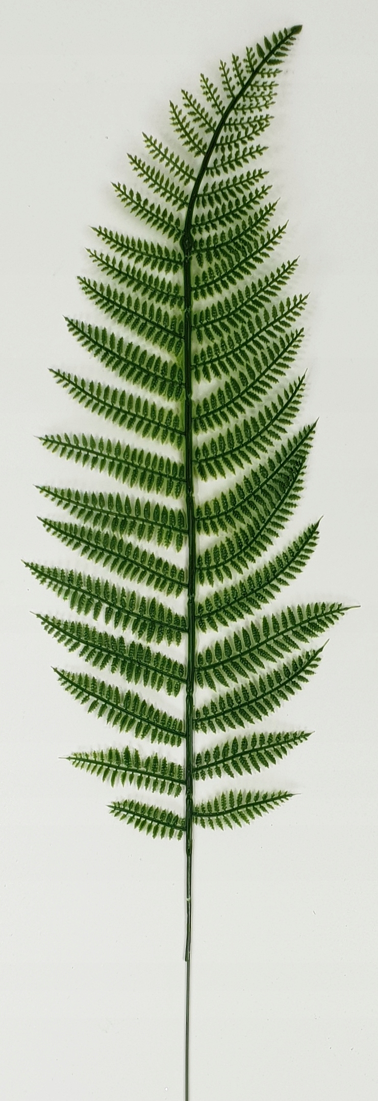 LIŚĆ GUMOWY PAPROĆ PAPROTKA LIŚCIE SZTUCZNE Kod producenta paprotka guma