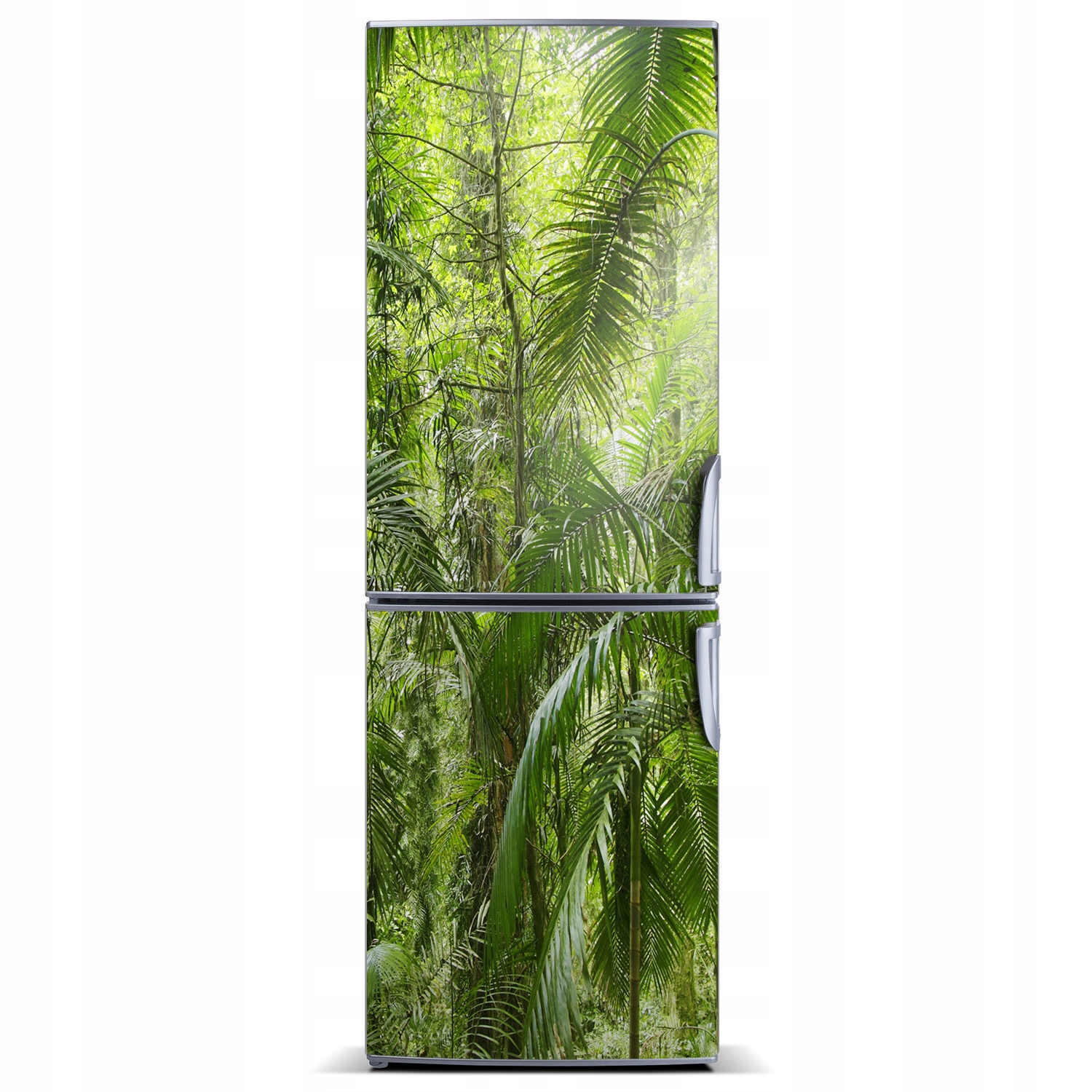 

Magnes Tapeta na lodówkę Las deszczowy 60x180
