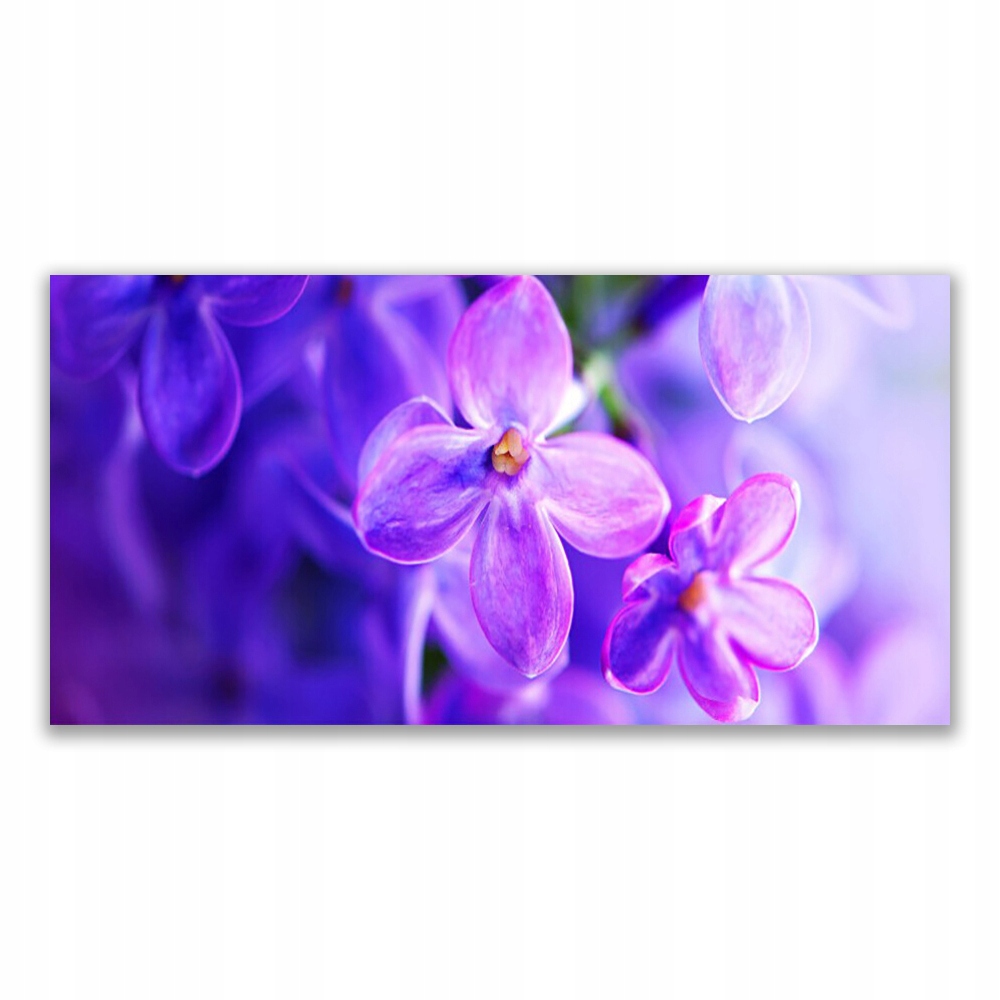 

Fotoobraz z grafiką 140x70 Kwiaty Fioletowe Natura