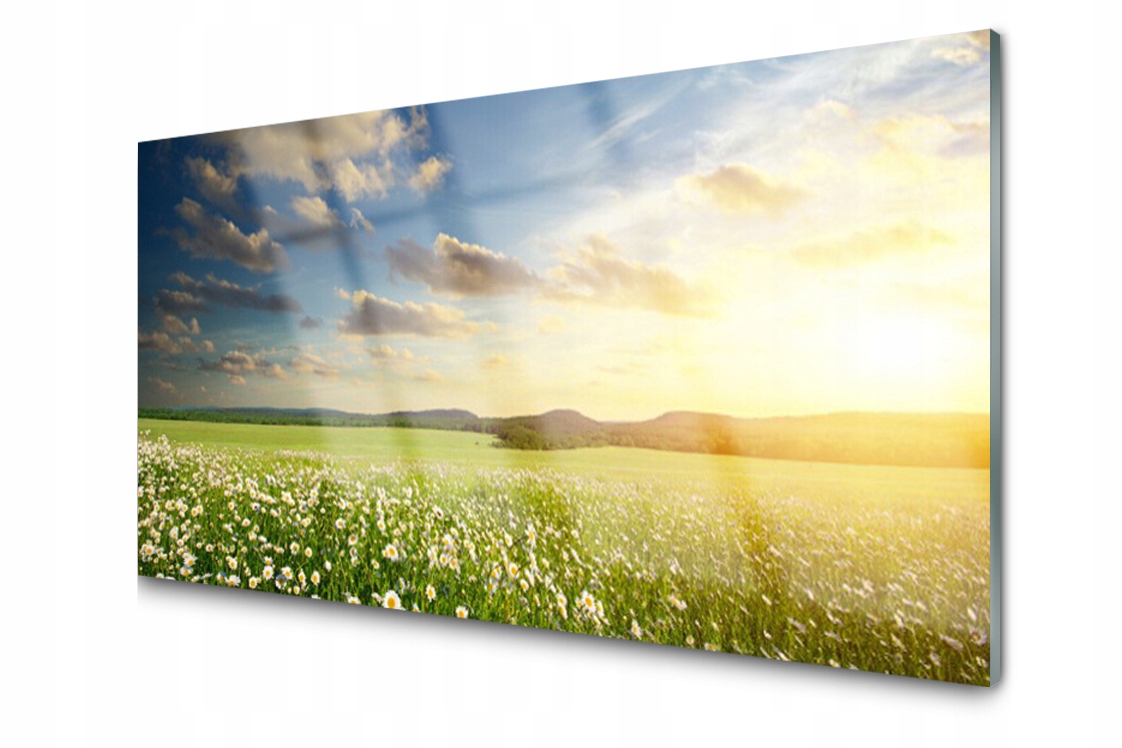 Skleněný panel Dlaždice Louka Květiny 100x50