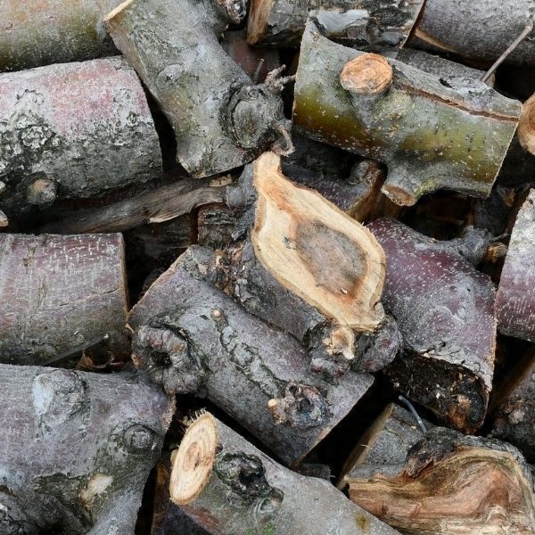 

Drewno Do Wędzenia mięs i ryb 10 Kg Jabłoń