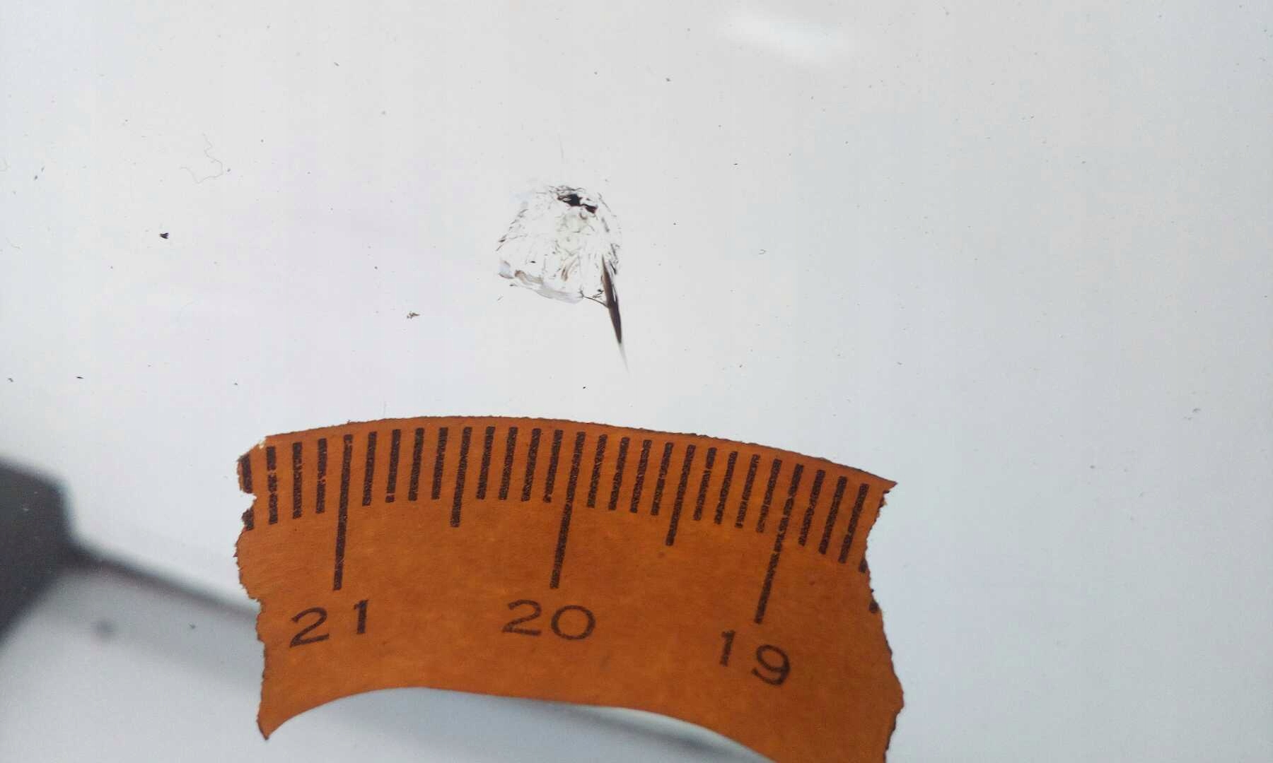 SZYBA CZOŁOWA FIAT 500 II 2007- COUPE ORYGINALNA Producent części AGC Automotive