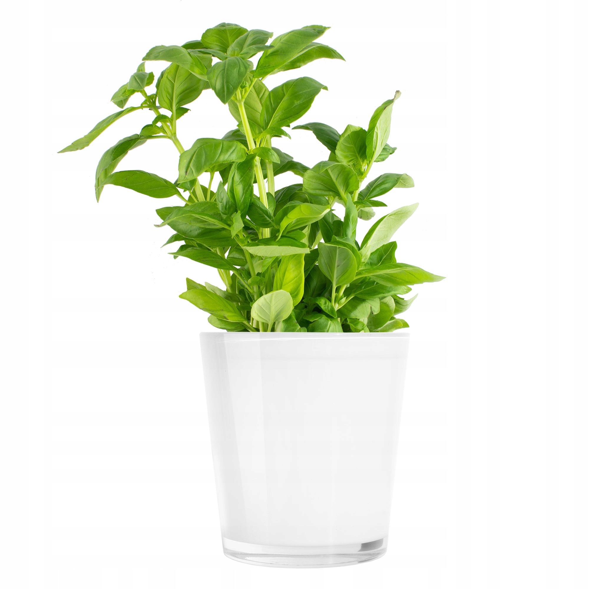 

Osłonka na doniczkę Orchid biała Trend For Home
