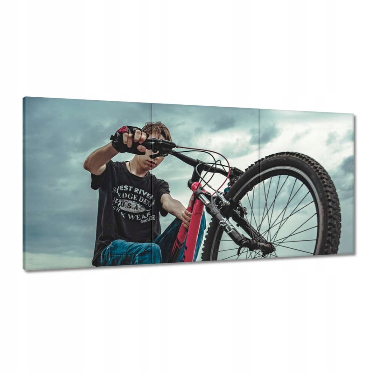 Obrazy 180x90 Bicykle Dva kolieska