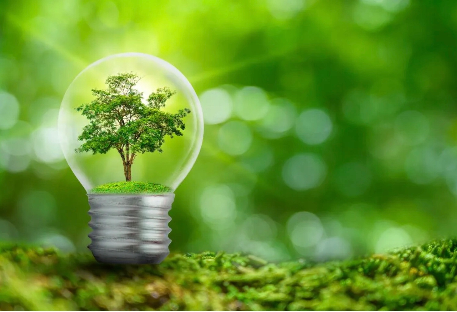 ZAMRAŻARKA SKRZYNIOWA GORENJE FH10EAW 95 L Model FH10EAW