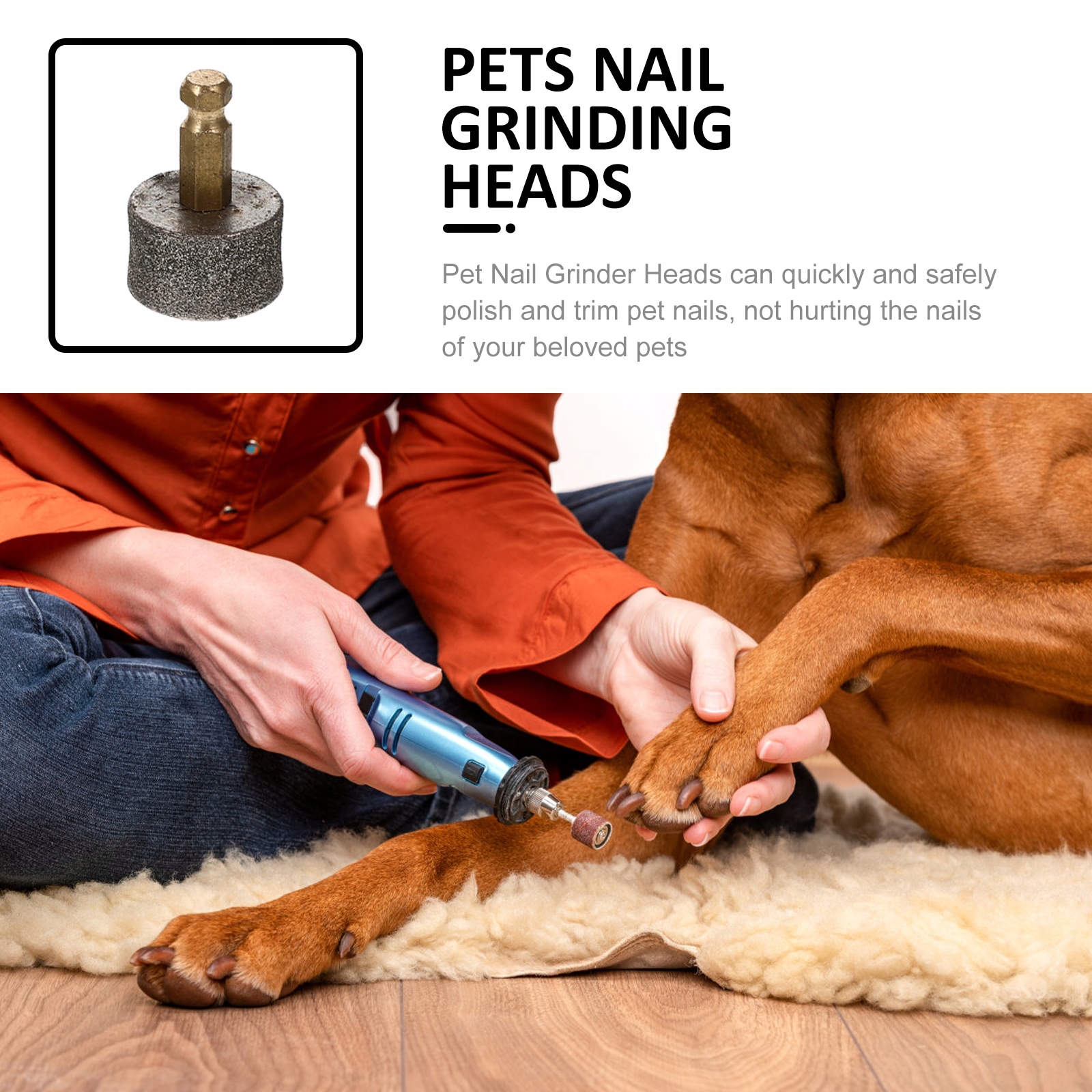 Кусачки для измельчения ногтей для домашних животных 6 шт EAN (GTIN) 3262402809583