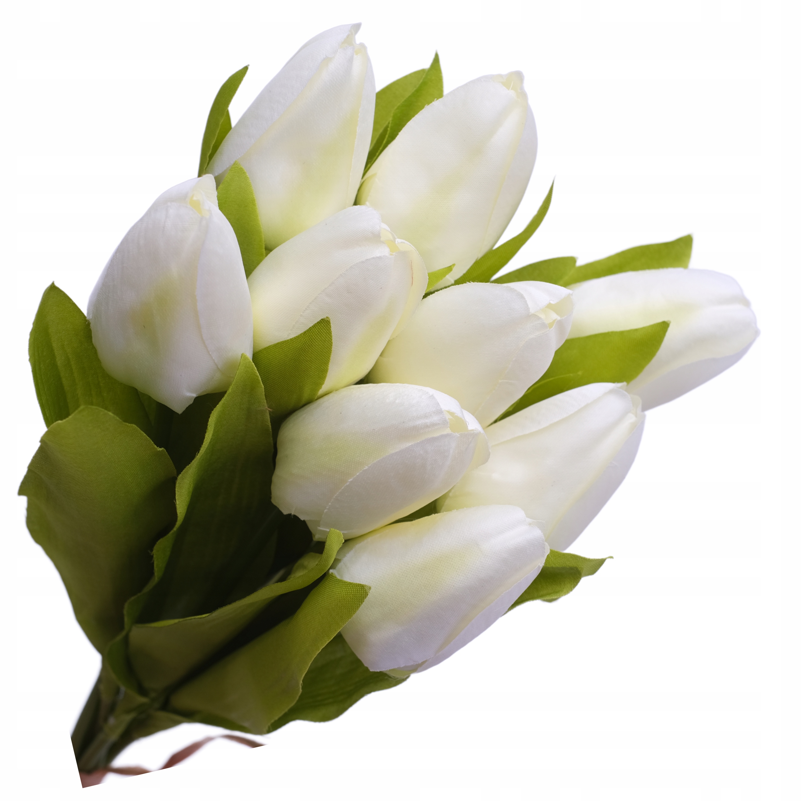 

Tulipany Bukiet Tulipanów Tulipan Liście Duży 9szt