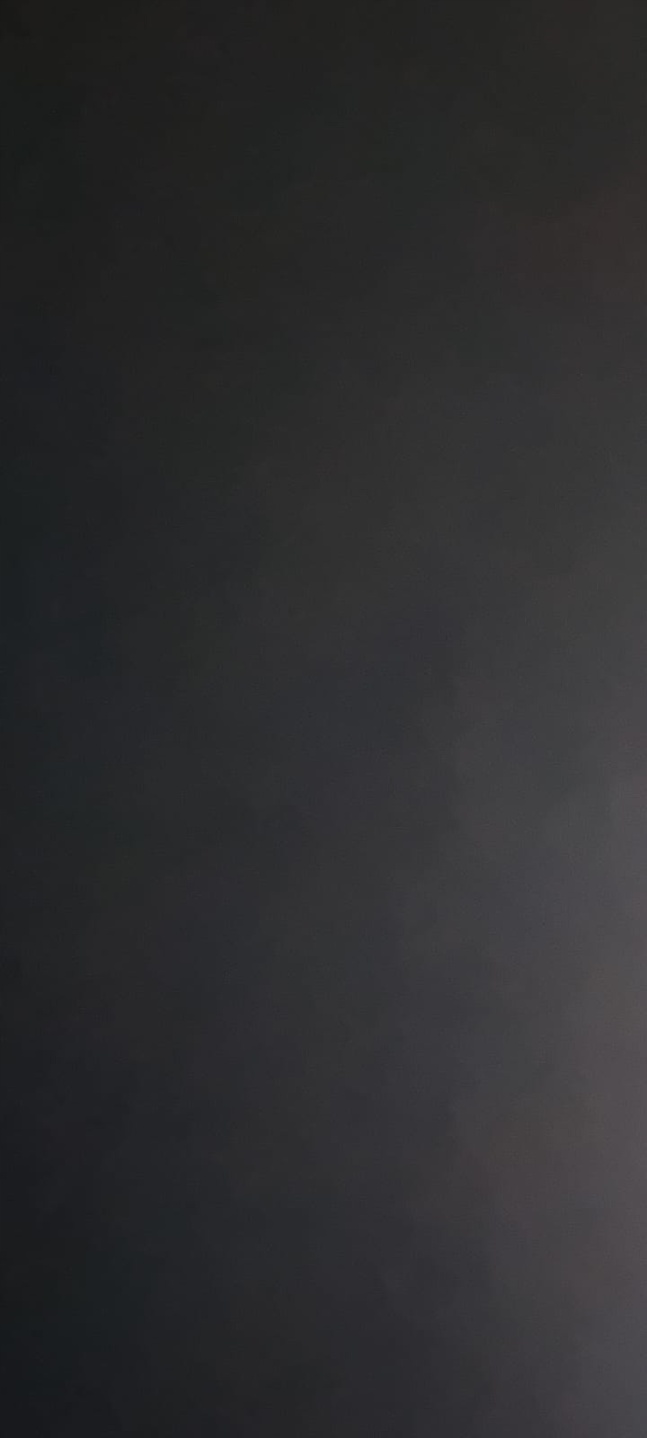 BŁOTNIK TYŁ ĆWIARTKA