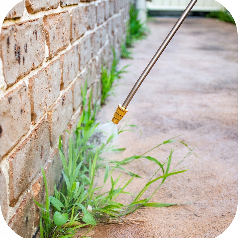 ROUNDUP FLEX 480 5L MOCNY ŚRODEK CHWASTOBÓJCZY PREPARAT NA CHWASTY RANDAP EAN (GTIN) 5411773118031