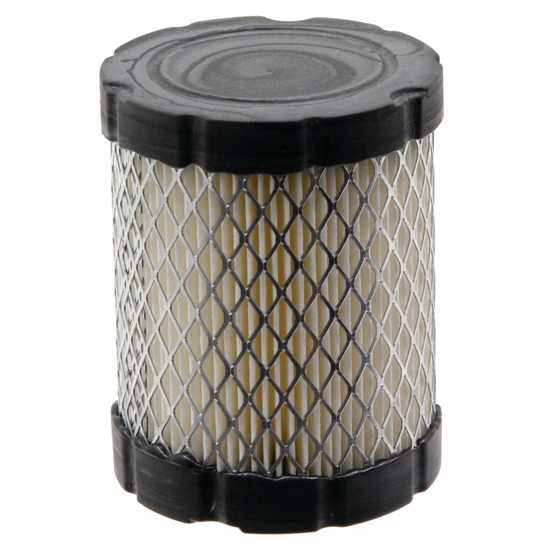 

Filtr powietrza Briggs Stratton 591583, 796032