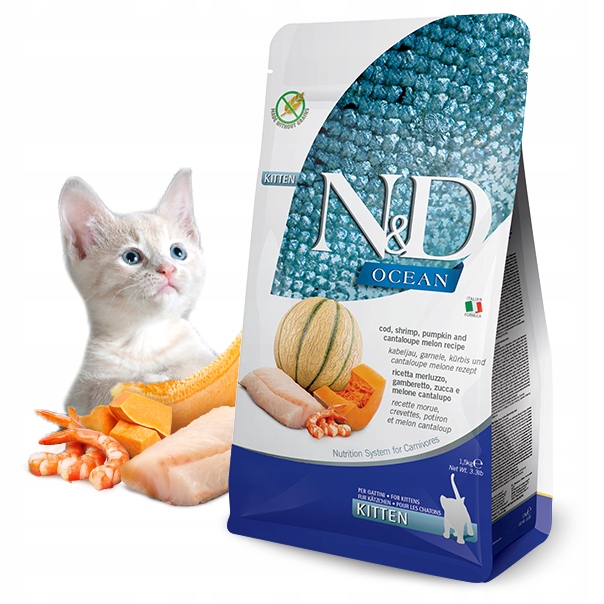Nd Ocean Cat Kitten Cod Shrimp Pumpkin Melon 5kg karma dla kociąt