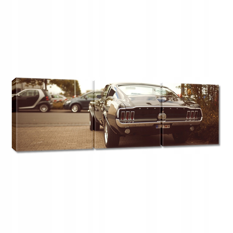 

Obrazy 120x40 Vintage foto Ford Mustang