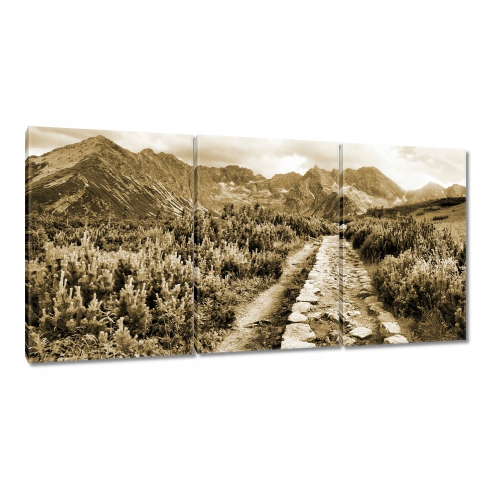 

Obrazy 120x60 Tatry Polskie góry Widok