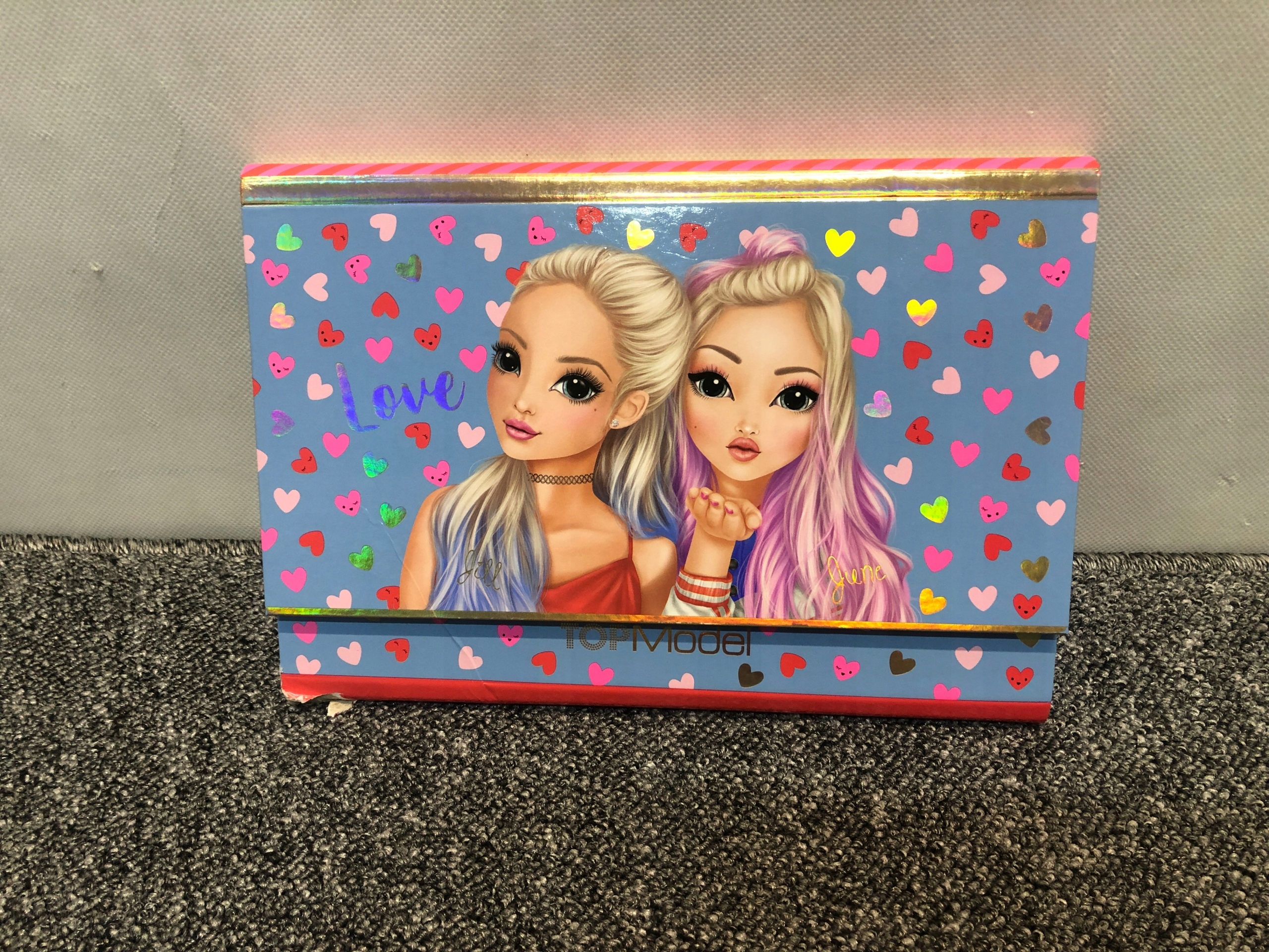 TOP MODEL papier firmowy w segregatorze/R9 Rodzaj papier kolorowy