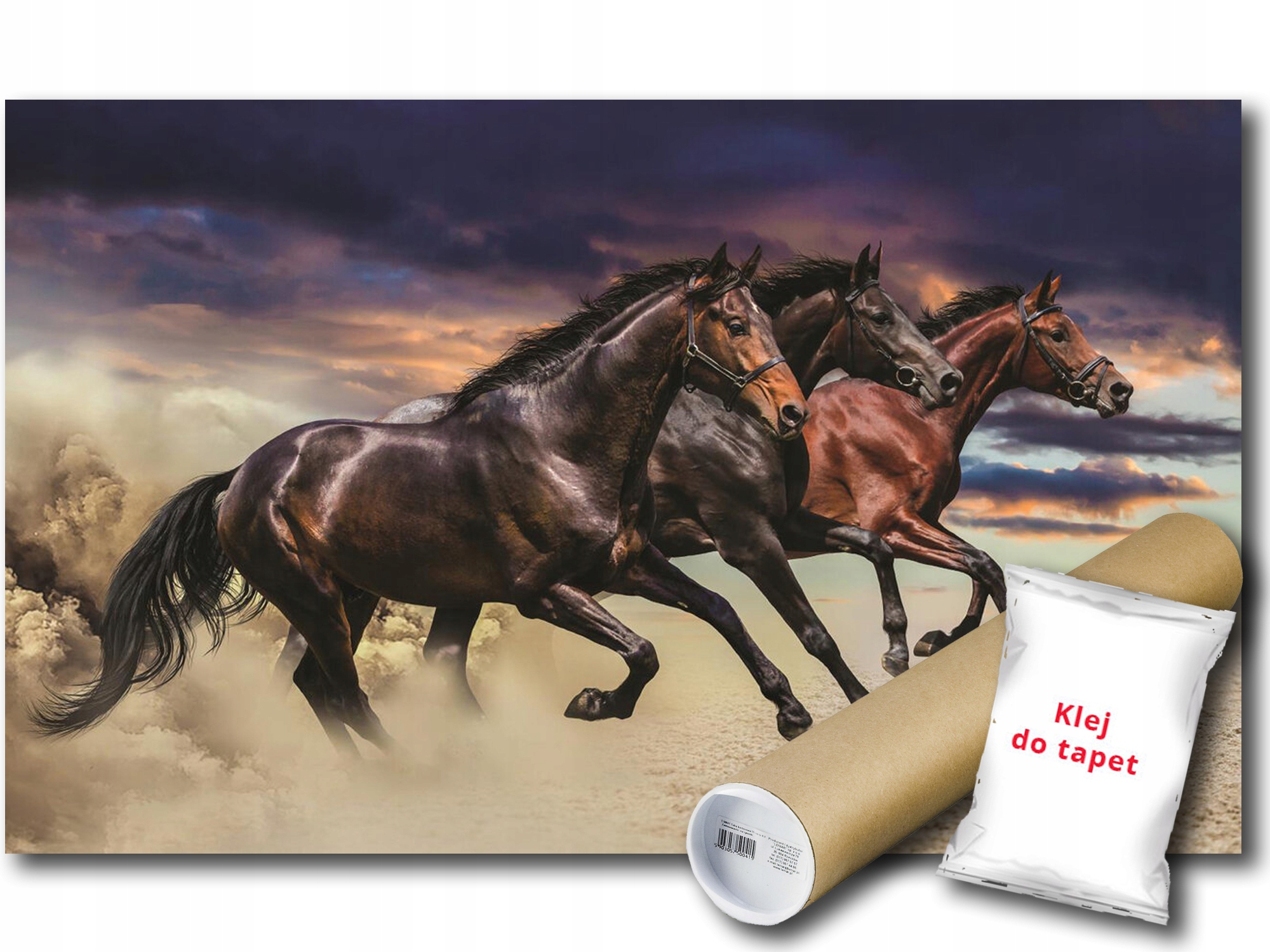 Vinylová Fototapeta Koně Kůň Cval Zvířata Fauna Příroda 416x254