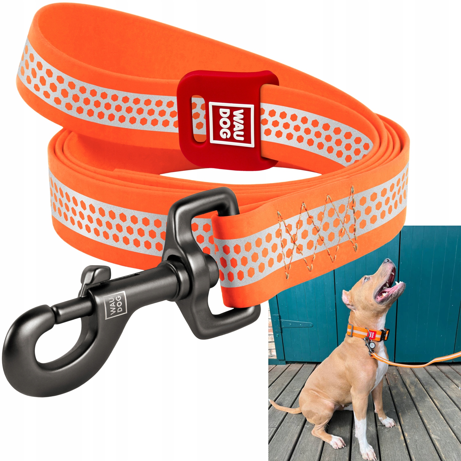 Levně Vodítko pro psa, voděodolné, reflexní, oranžové, L-XXL, 25 mm, 183 cm