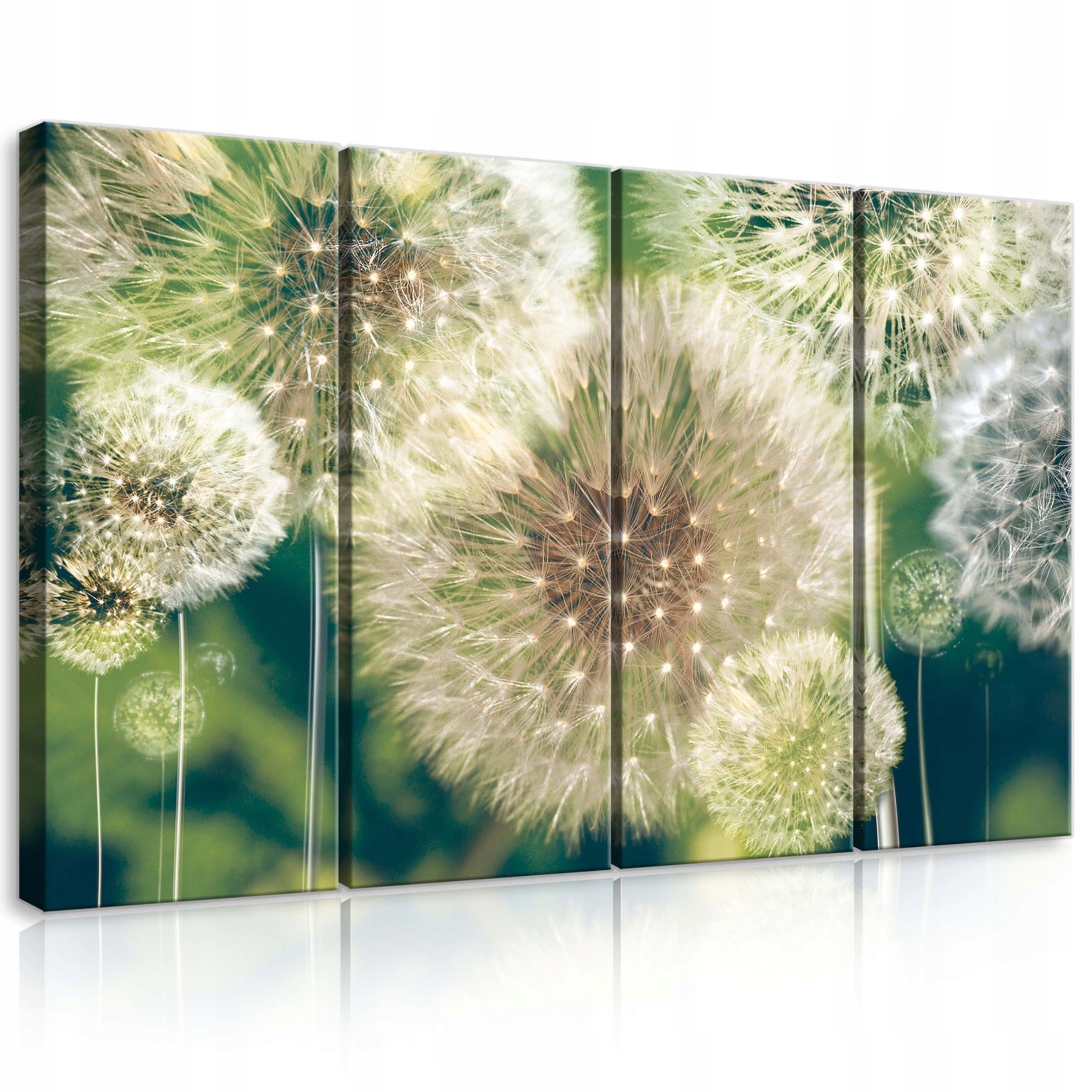 Obraz 120x80 Púpava lekárska púpava semená príroda leto ľahkosť