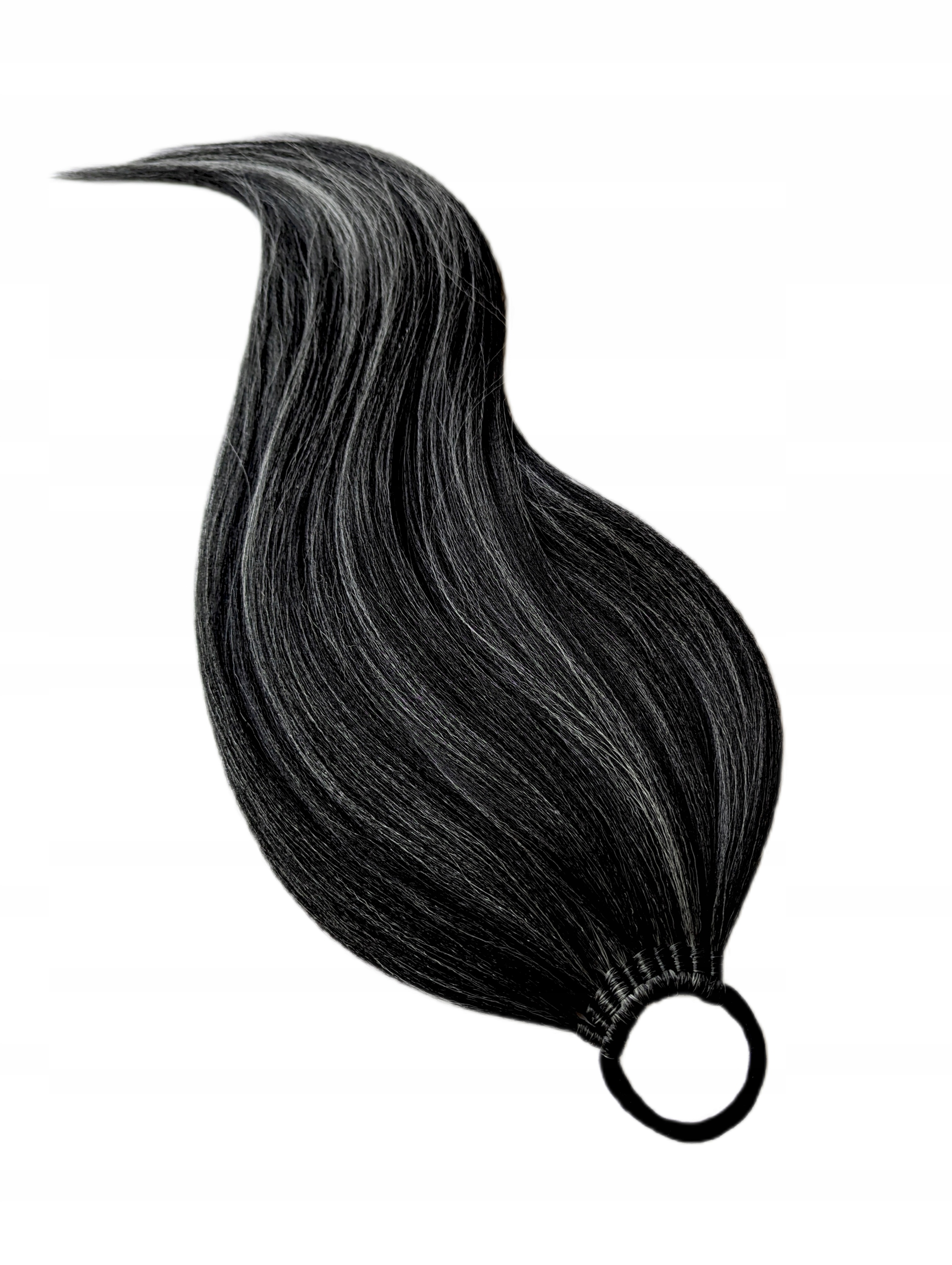 Kucyk Na Gumce, Kuc-Gumka, Treska, czarny, Popielata Szlachcianka, 40cm