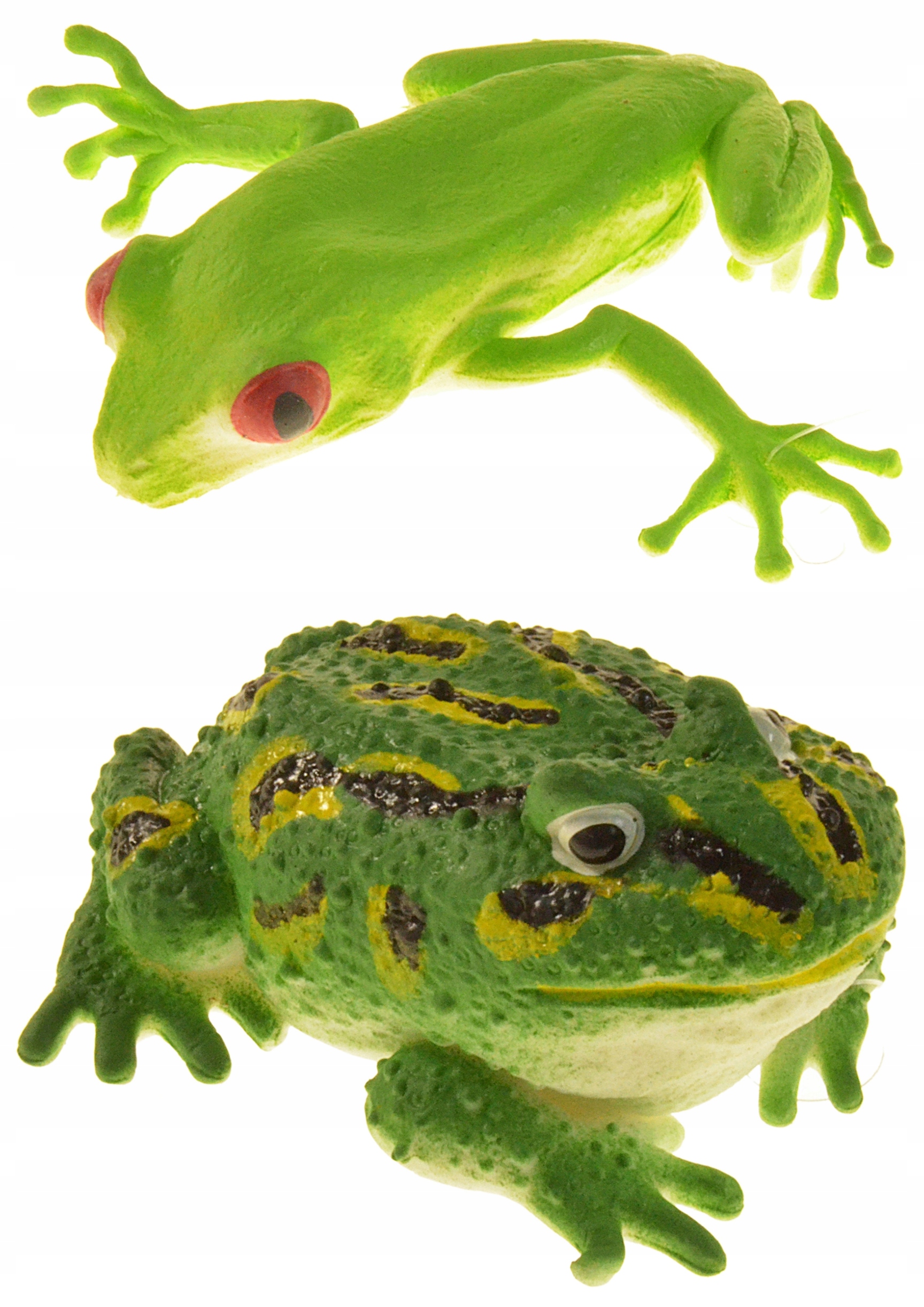 Żaba gumowa z groszkiem 2-rodzaje 11cm — 2