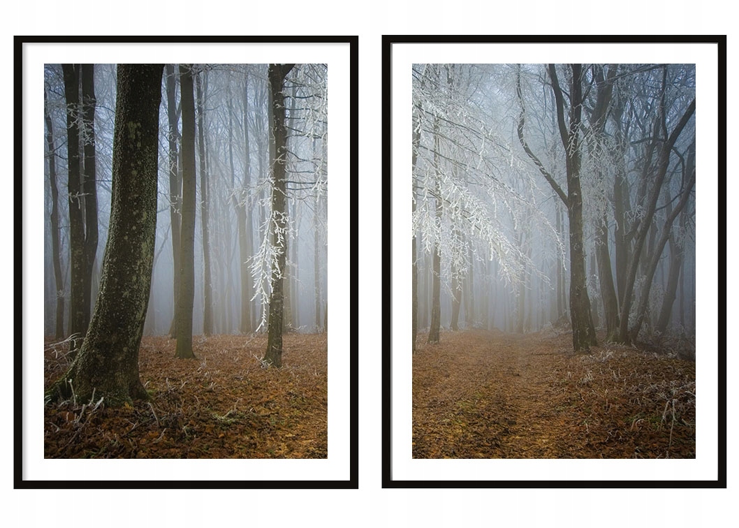 Obraz Plakáty V Rámu 53x73 cm Diptych Sada 2 obrazů Podzimní les P2093