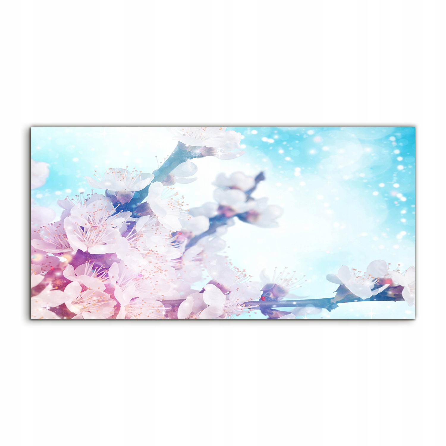 Akrylový obraz 100x50 na stenu Jar Kvety Rastlina