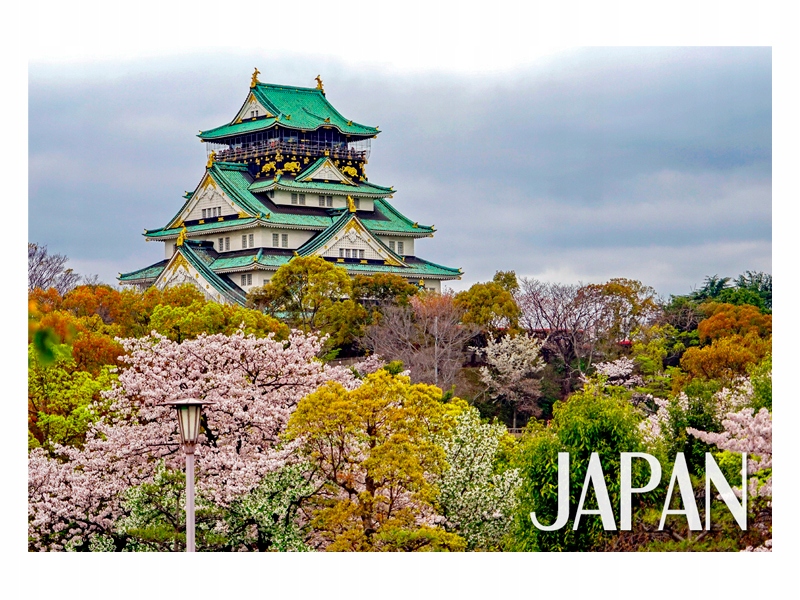 

Japonia Kwiat wiśni Sakura Magnes na lodówkę
