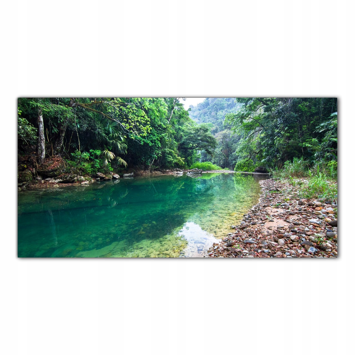 Džungle Krajina Les 100x50 Panel sklo do kuchyně