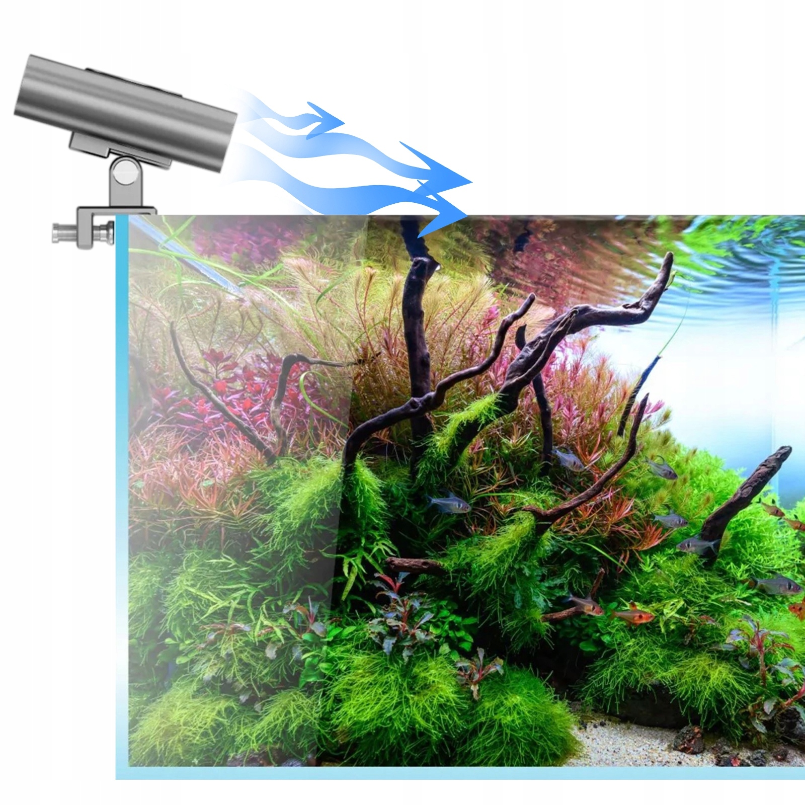 Levně Jak Chladit Akvárium V Létě Pomocí Chladicího Ventilátoru