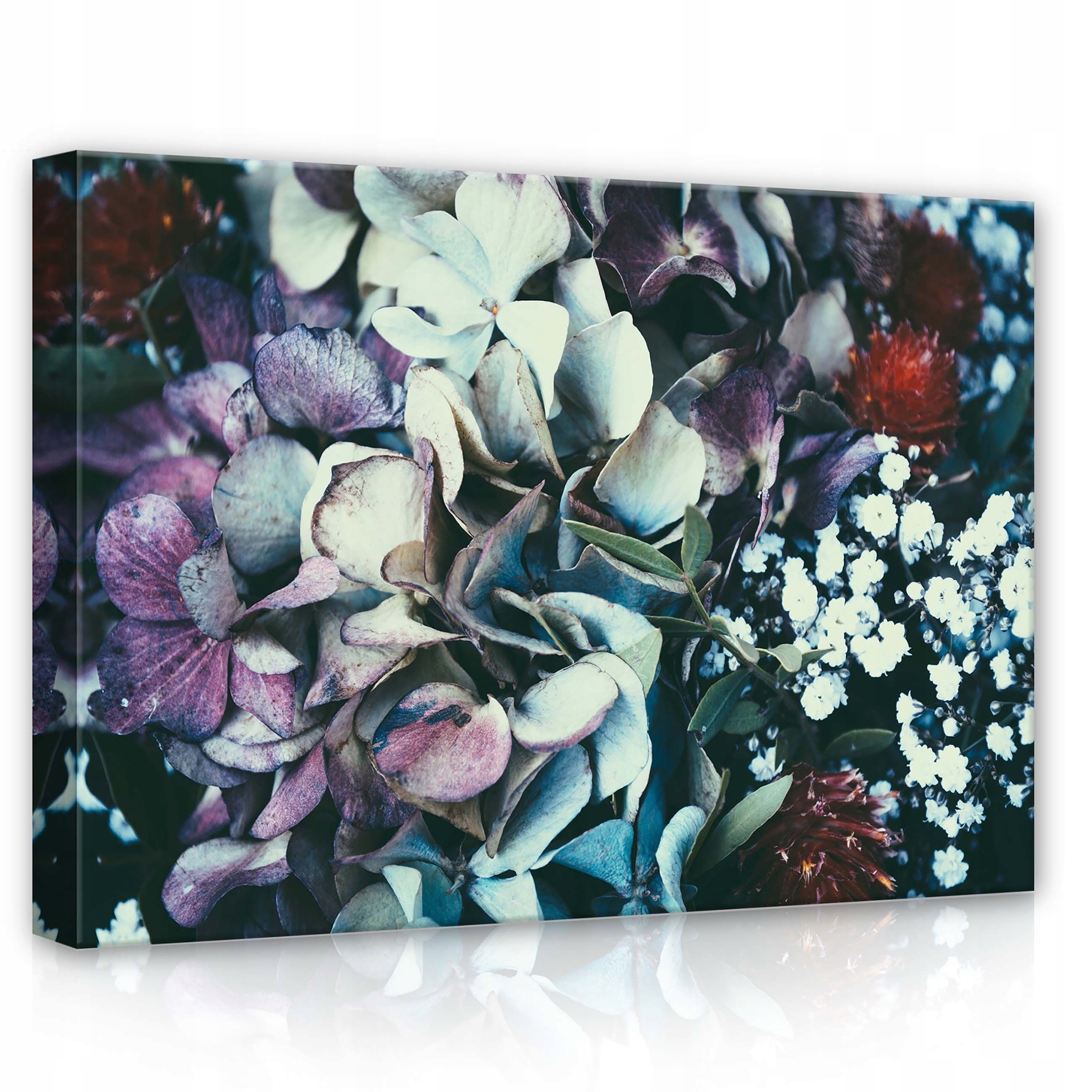 Obraz 70x50 Květiny Hortenzie Podzim Makro Příroda Pastel Vintage Zahrada