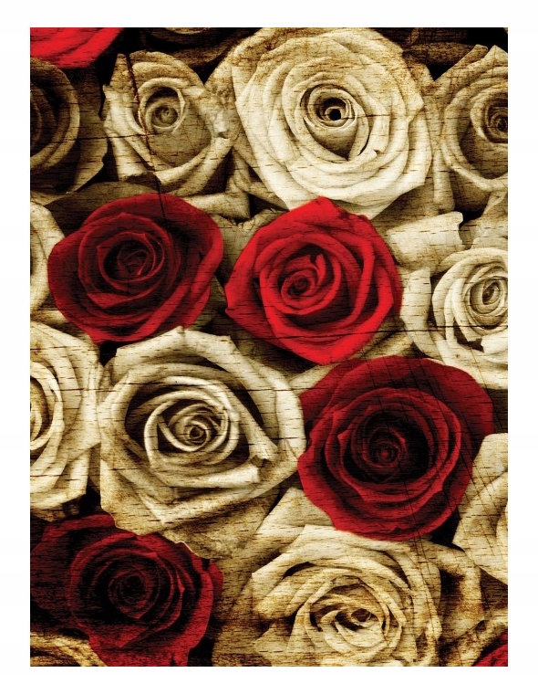 Fototapeta Retro a vintage ruže červeno-biela 184x254 vinylová lepidlo