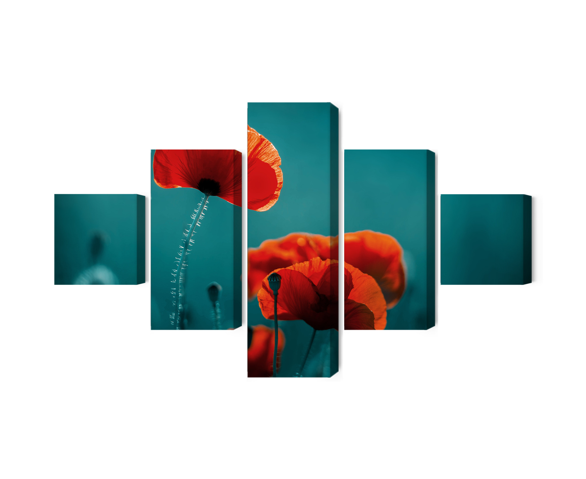 Nový vícedílný obraz Maki Makro Canvas 200x120