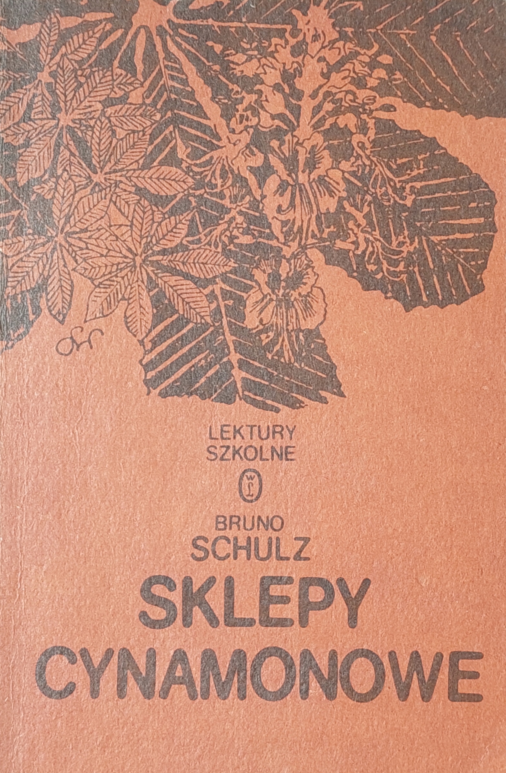 Bruno Schulz - Sklepy cynamonowe
