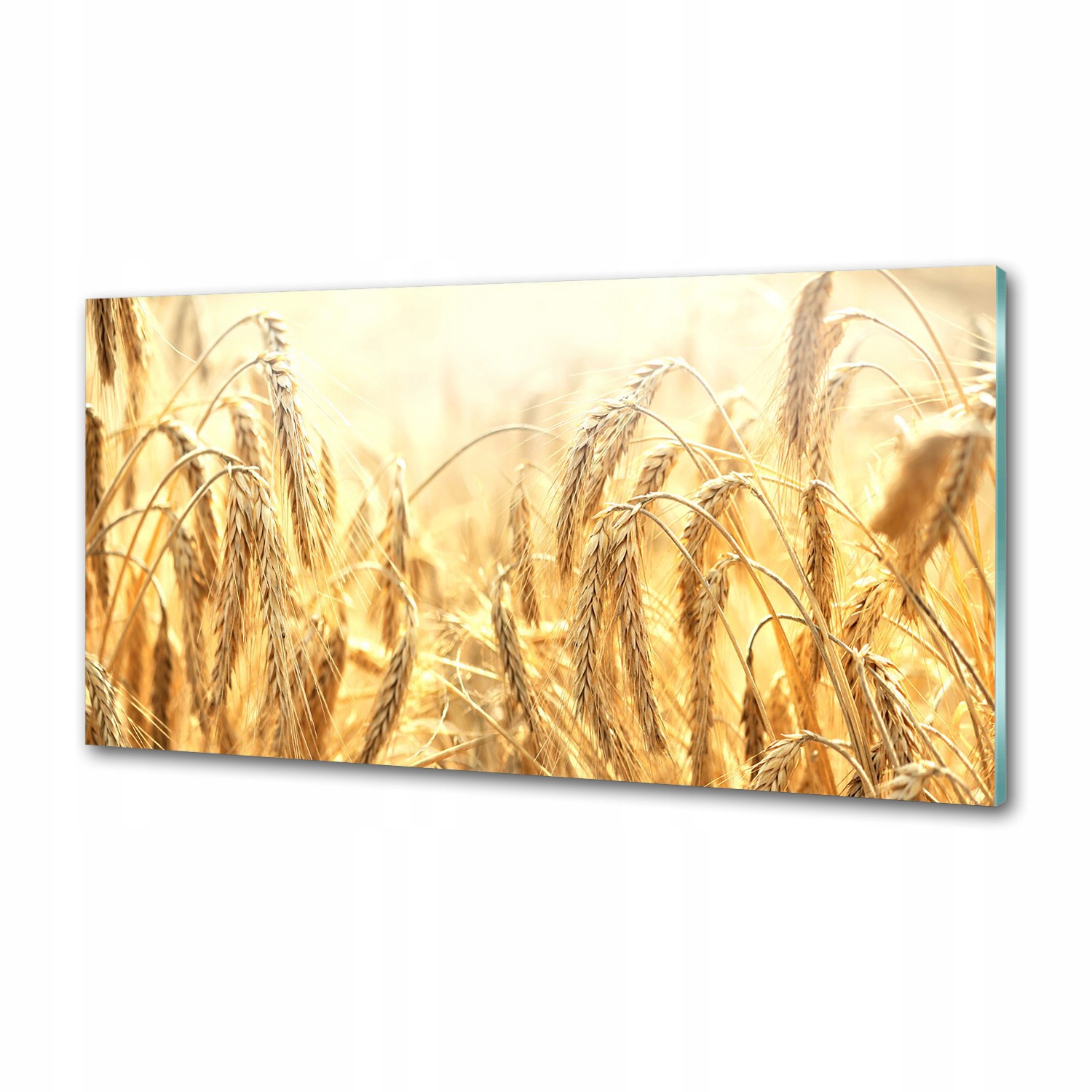 Sklenený panel do kuchyne Obilniny 100 x 50 cm Lepidlo