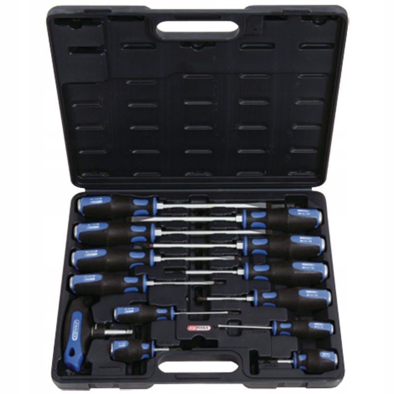 Набір викруток ERGOTORQUE max з кришкою KS Tools