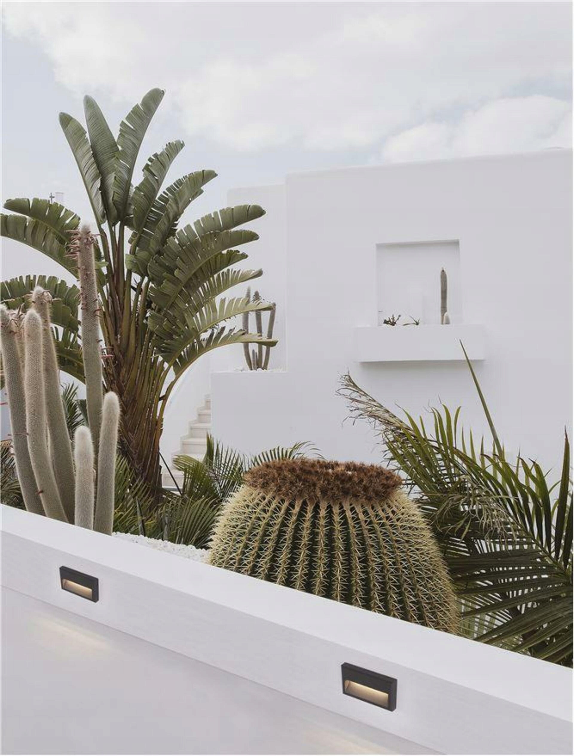 Nova Luce vonkajšie nástěnné svítidlo Rio antracitový hliník a čiré sklo Led