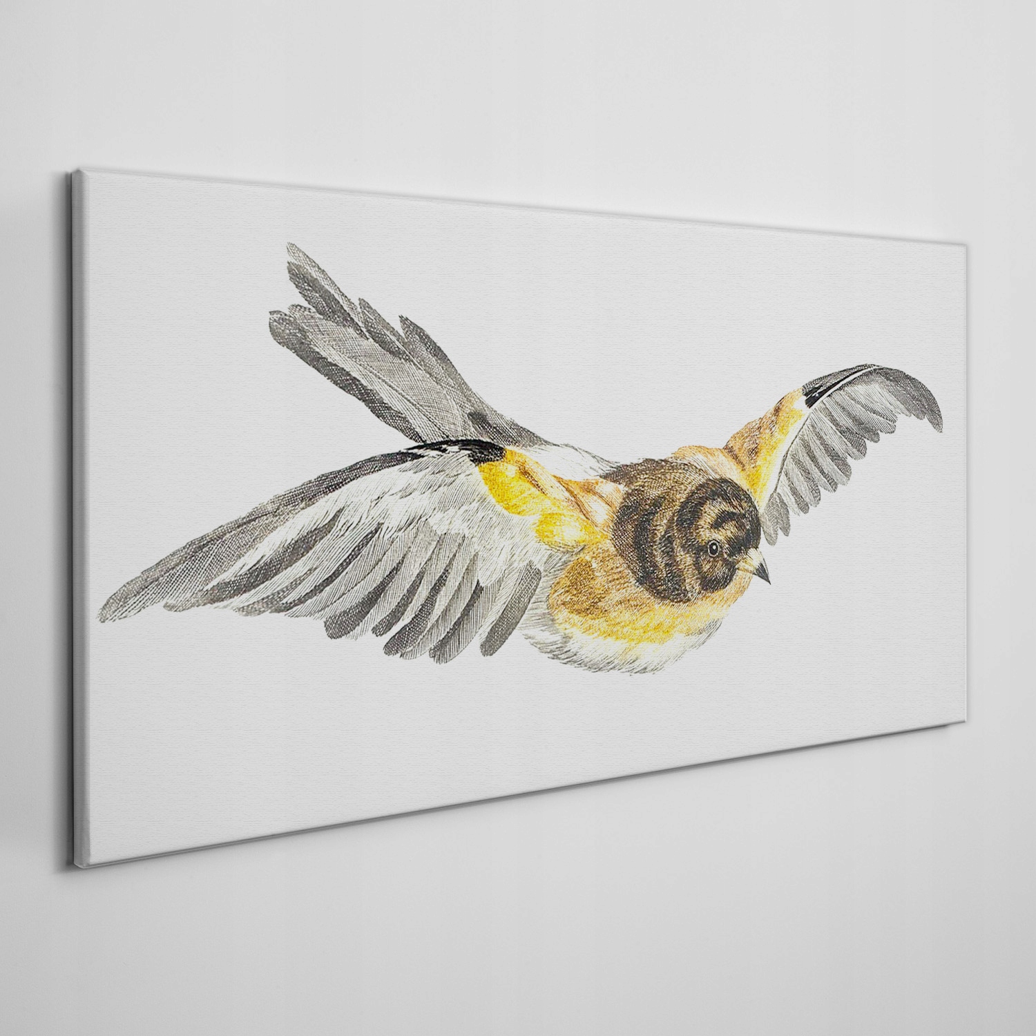 

Ścienny fotoobraz na płótnie Zwierzę ptak 120x60