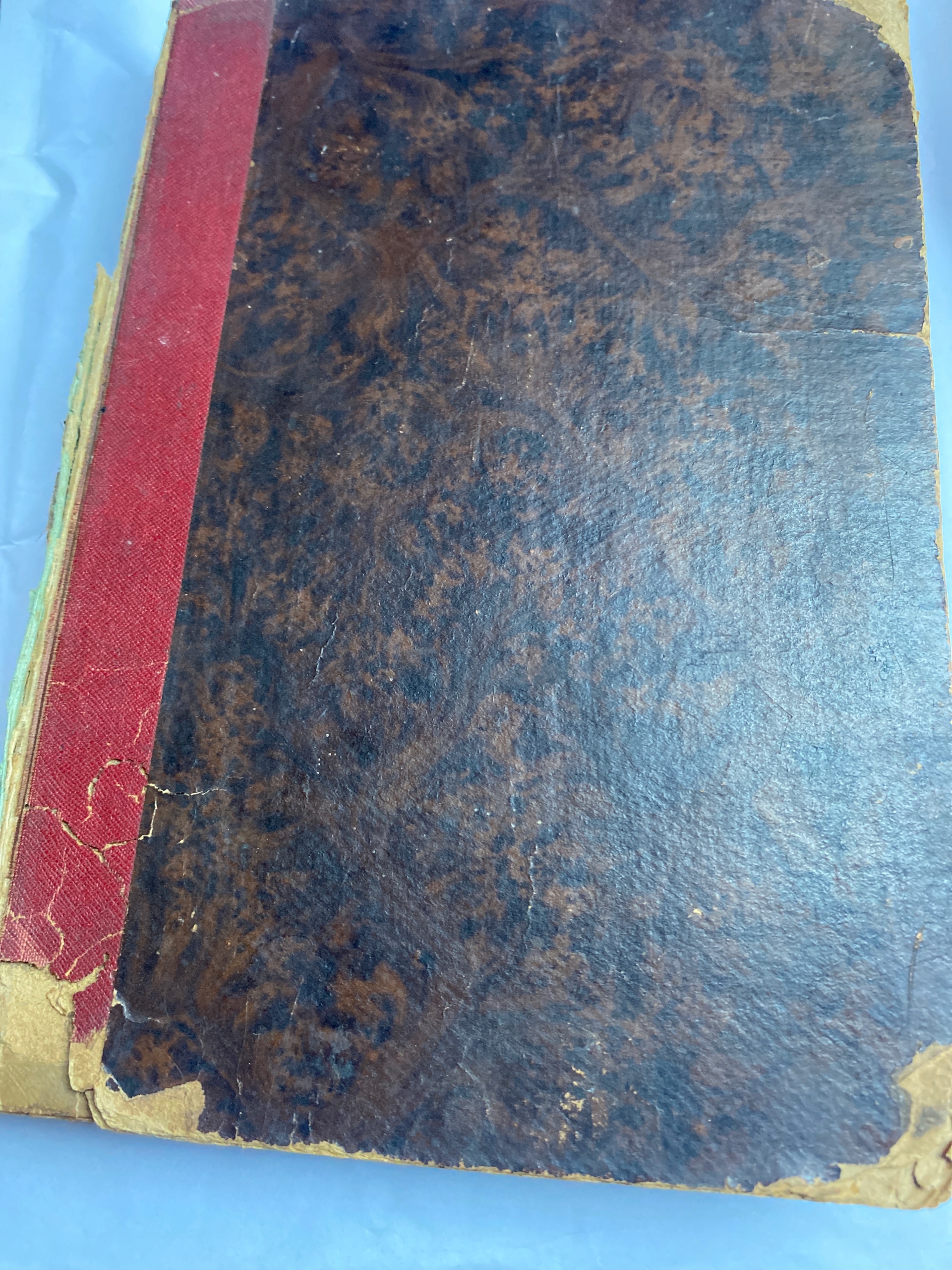 Wielki lekarz domowy Breyer