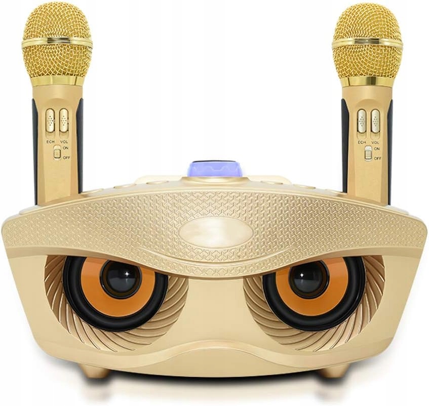 RUBEHOOW Maszyna do karaoke z 2 mikrofonami bezprzewodowymi