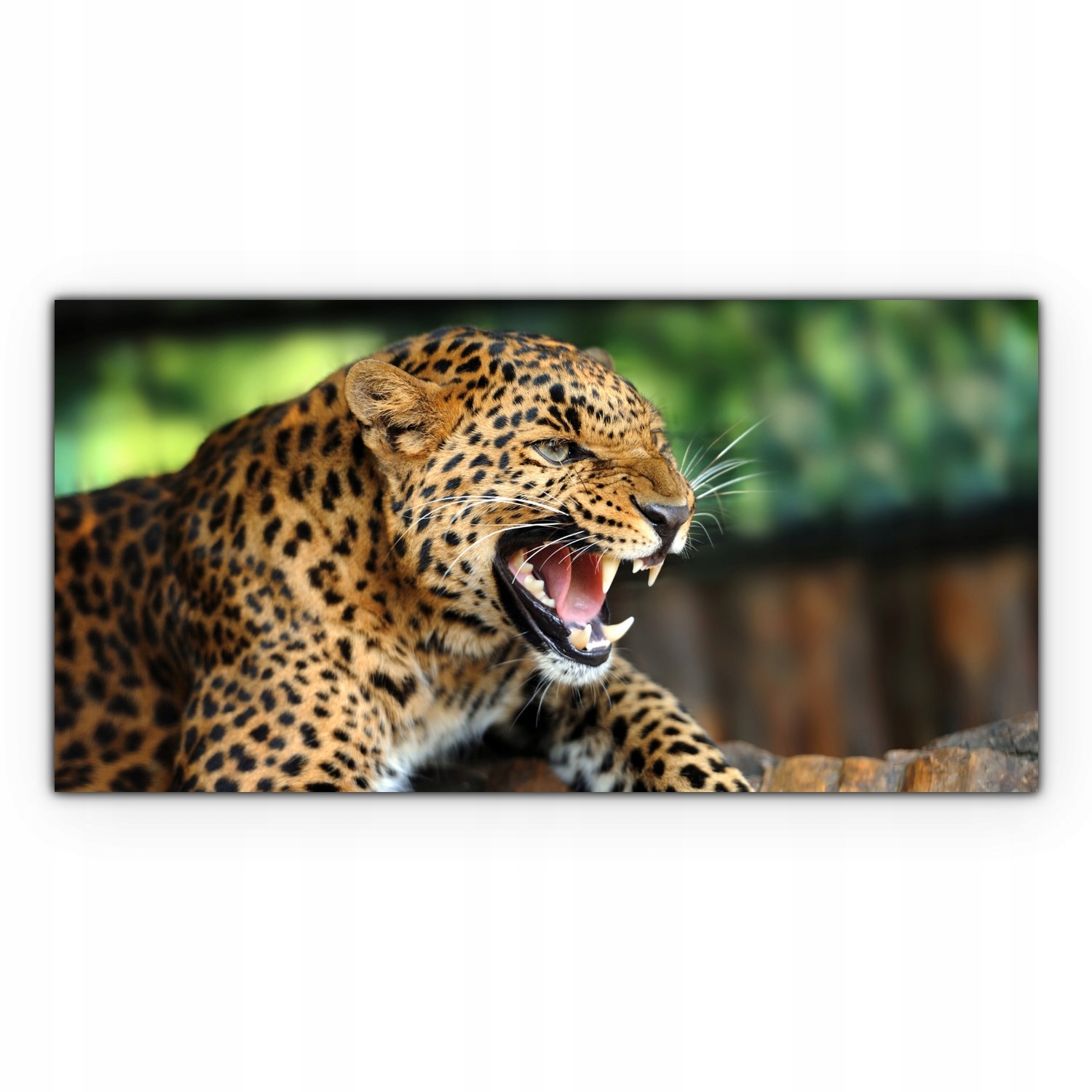 

Canvas do sypialni 100x50 Lampart Afryka Portret