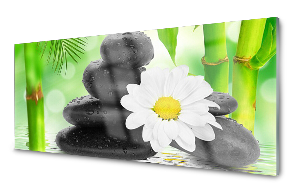

Panel szklany do kuchni Bambus Zen Kwiat 125x50
