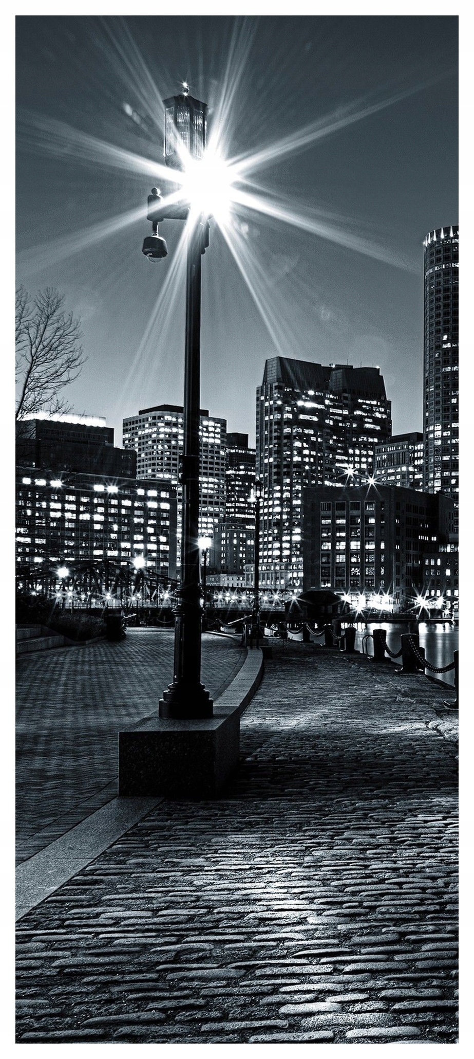 Vliesová fototapeta Květiny Pivoňky Botanický vzor 91x211 lepidlo