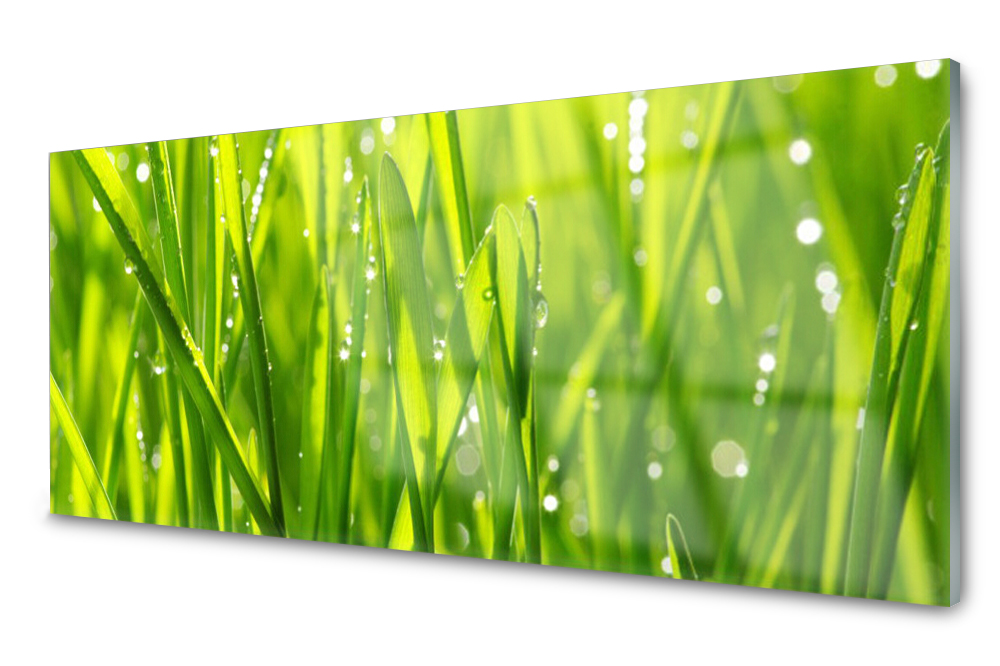 

Panel szklany do kuchni Trawa Roślina 125x50