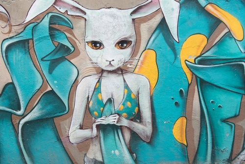 

Fototapeta flizelina na wymiar ściana graffiti kot