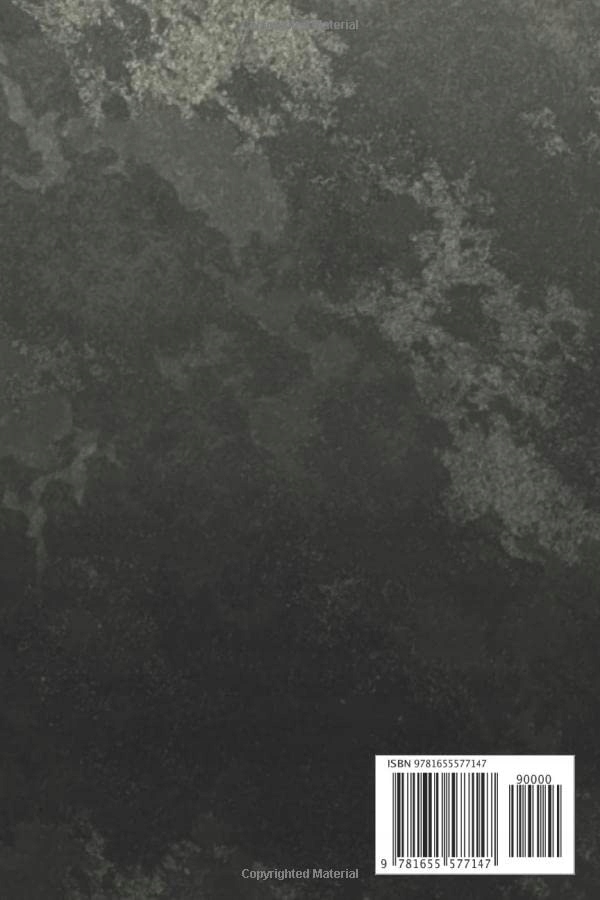 Lushy Notebooks, Kate Too Many Passwords And Shit: Password Organizer & Log Język publikacji angielski